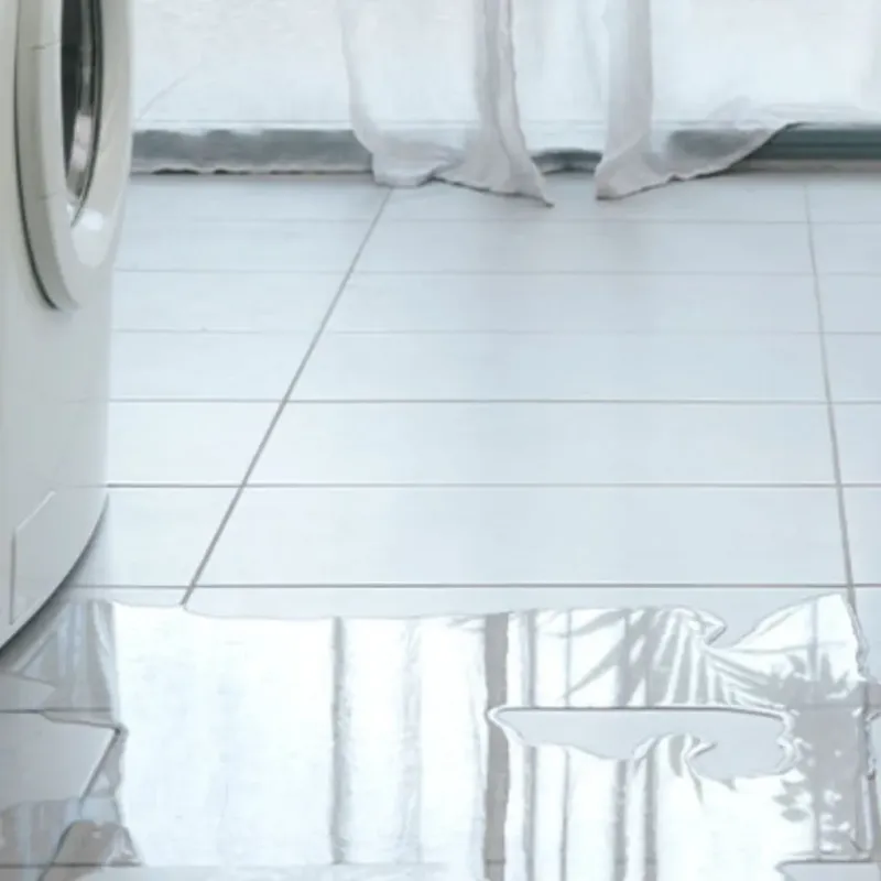 Appliance Leak Cleanup in Carterville, IL