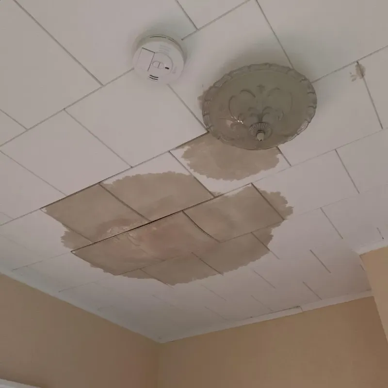 Ceiling Water Damage Repair in Carterville, IL