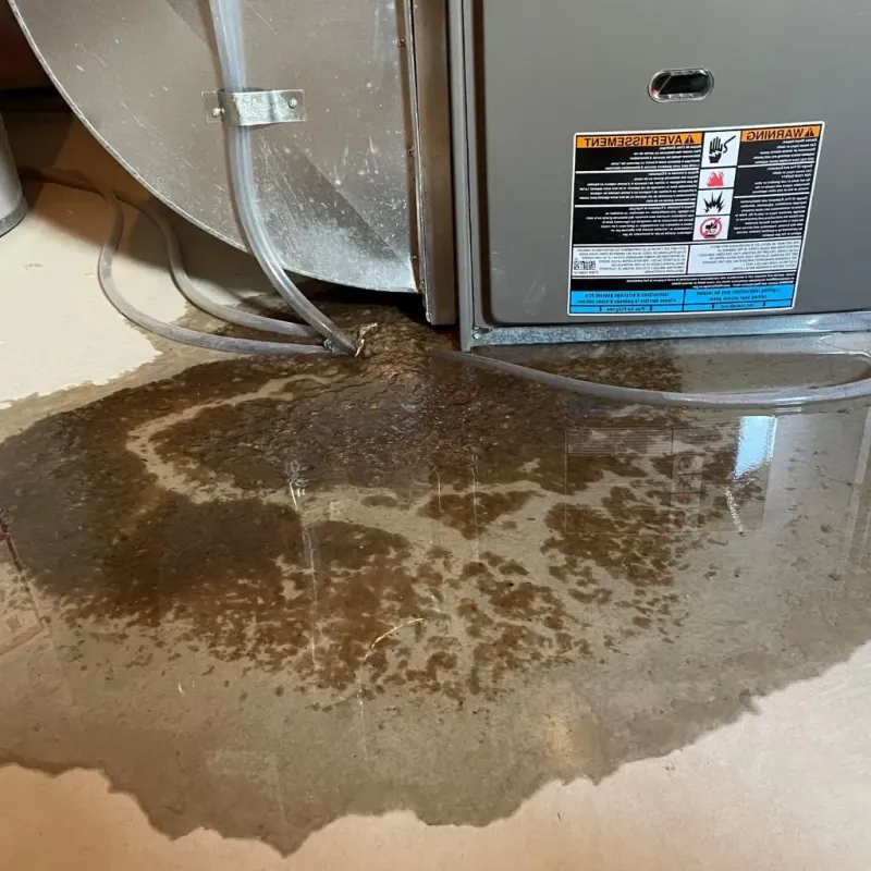 Pipe Burst and Leak Restoration in Carterville, IL