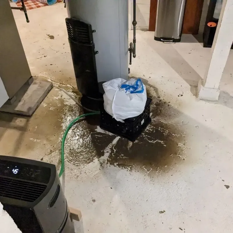 Sewage Backup Cleanup Service in Carterville, IL